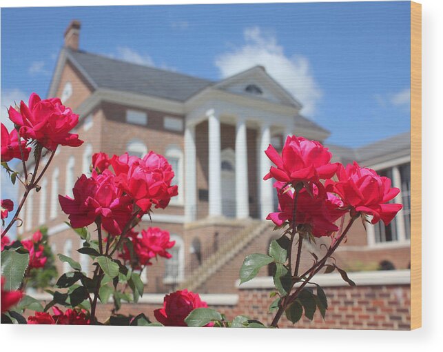 Lancaster Wood Print featuring the photograph Roses at the Court House 2 by Joseph C Hinson