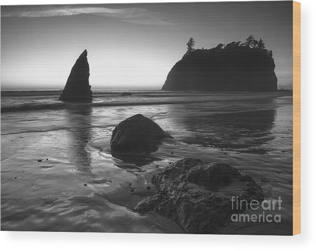 Ruby Beach Wood Print featuring the photograph Ruby Beach by Timothy Johnson