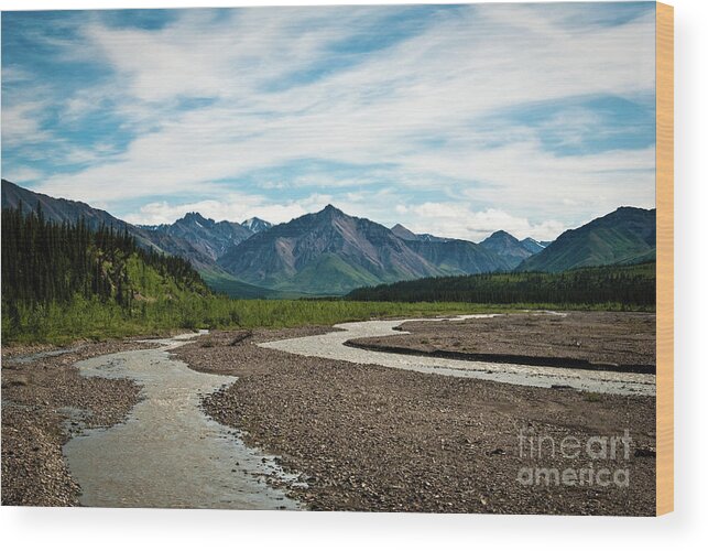 Blue Sky Wood Print featuring the photograph Rustic Water by Ed Taylor