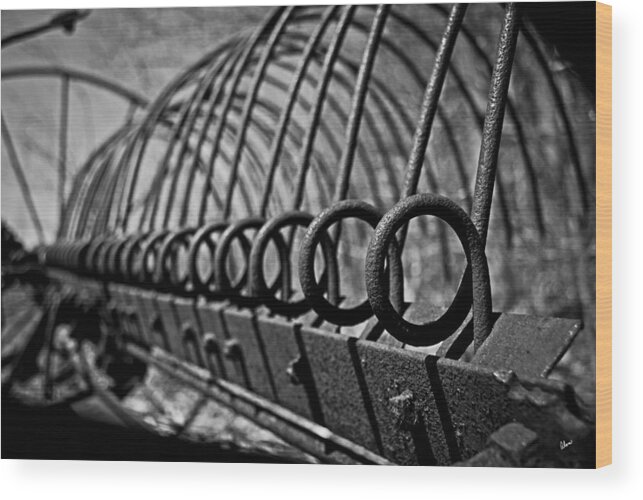 Up Close Wood Print featuring the photograph Rusty Old Hay Rake by Alana Ranney