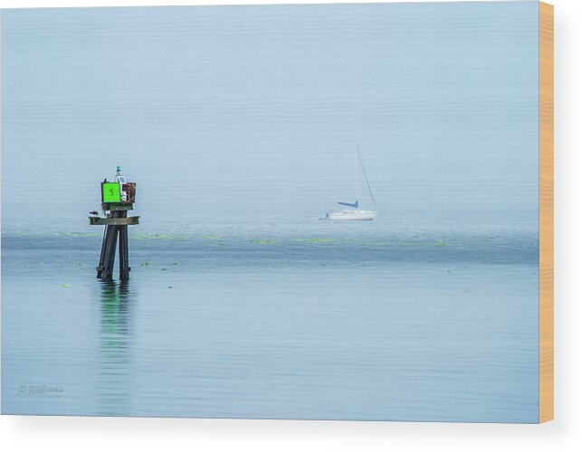 Lake Wood Print featuring the photograph Sailing in the Rain by Pamela Williams