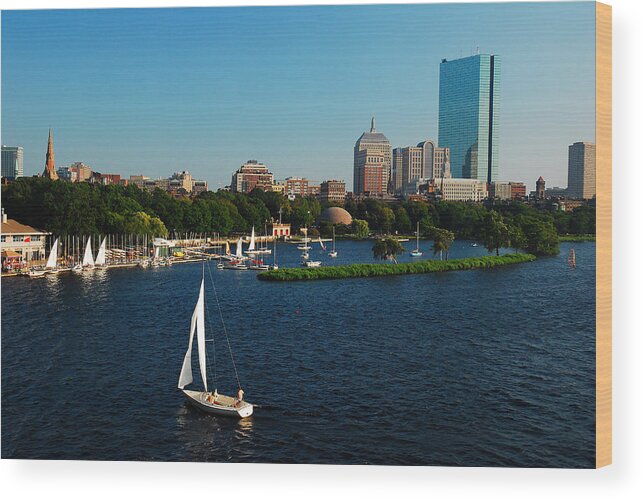 Sail Wood Print featuring the photograph Sailing on the Charles by James Kirkikis