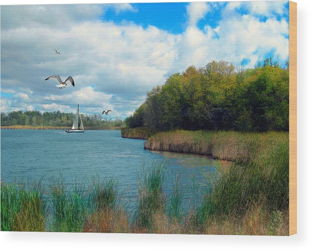 Cedric Hampton Wood Print featuring the photograph Sails In The Distance by Cedric Hampton