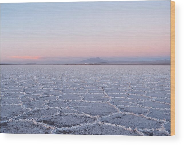 Salar De Uyuni Wood Print featuring the photograph Salar de Uyuni No. 3-1 by Sandy Taylor