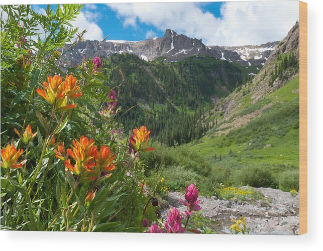 San Juans Wood Print featuring the photograph San Juans Indian Paintbrush Landscape by Cascade Colors