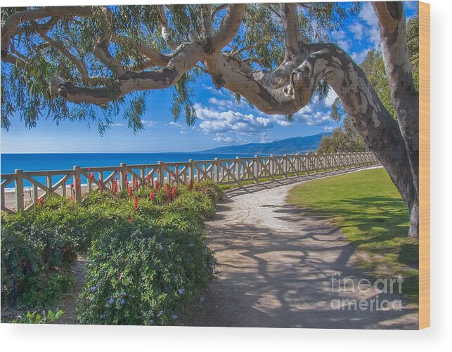 Lovely Wood Print featuring the photograph Santa Monica Palisades Park by David Zanzinger