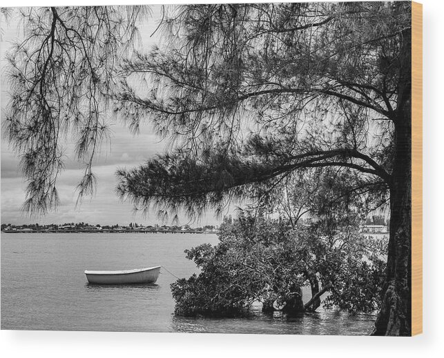 Photo For Sale Wood Print featuring the photograph Sarasota Bay View by Robert Wilder Jr