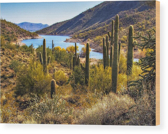 Southwest Wood Print featuring the photograph Scorpion Cove by David Wagner