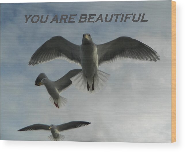 Gallery Of Hope Wood Print featuring the photograph Seagulls You Are Beautiful by Gallery Of Hope 