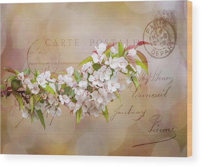 Apple Wood Print featuring the photograph Sending Spring by Cathy Kovarik