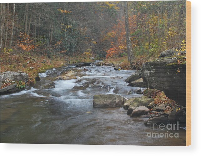 Seneca Creek Wood Print featuring the photograph Seneca Creek Autumn by Randy Bodkins