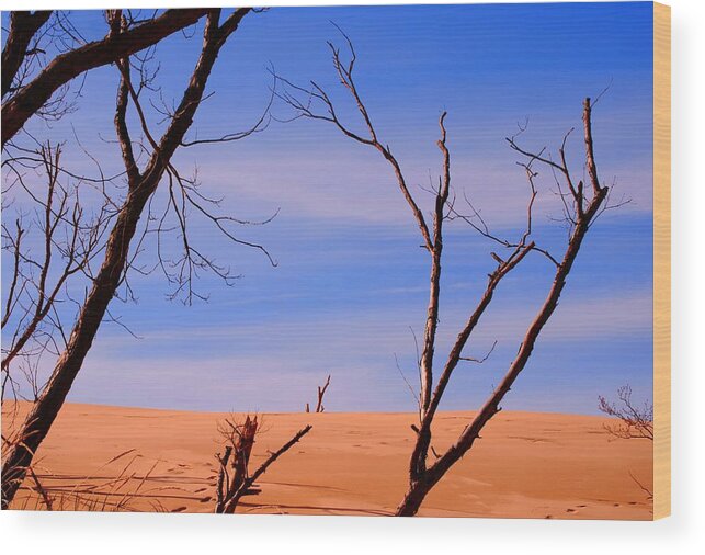 Sand Dunes Wood Print featuring the photograph Silver Lake Sand Dunes by Kellie Prowse