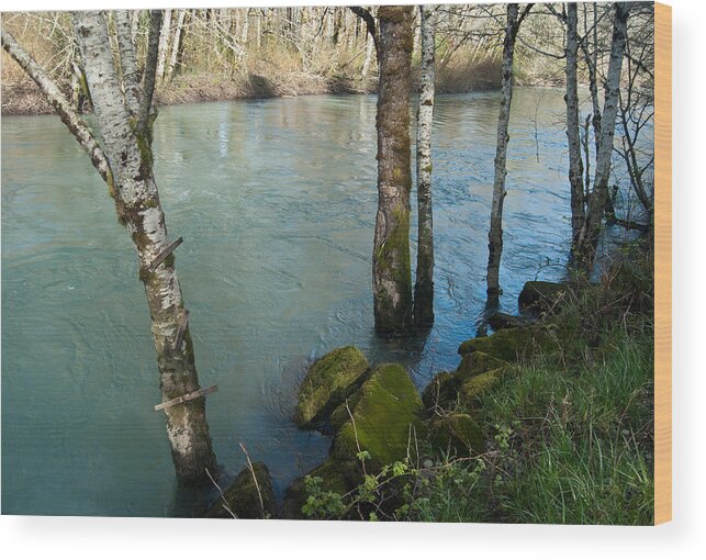 River Wood Print featuring the photograph Skokomish River - Swollen River 2 by Jani Freimann