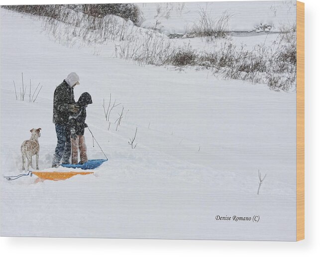 Boy Wood Print featuring the photograph Sledding by Denise Romano