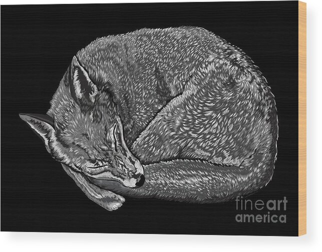 Fox Wood Print featuring the digital art Sleeping Fox by Stevyn Llewellyn