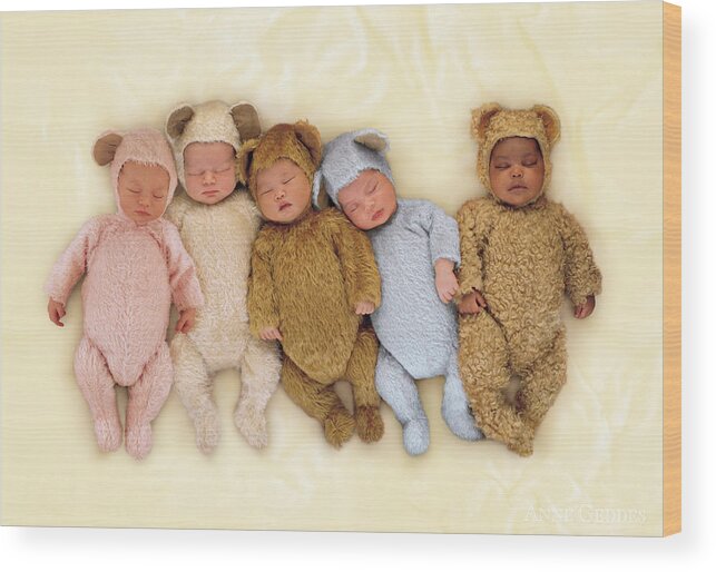 Teddy Bears Wood Print featuring the photograph Sleepy Bears by Anne Geddes