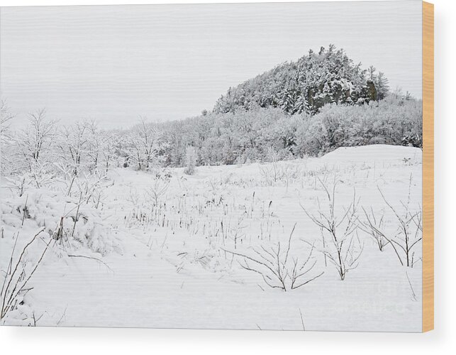 Photography Wood Print featuring the photograph Snow Scene by Larry Ricker