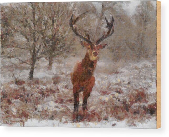 Landscape Wood Print featuring the digital art Snowy Stag by Charmaine Zoe