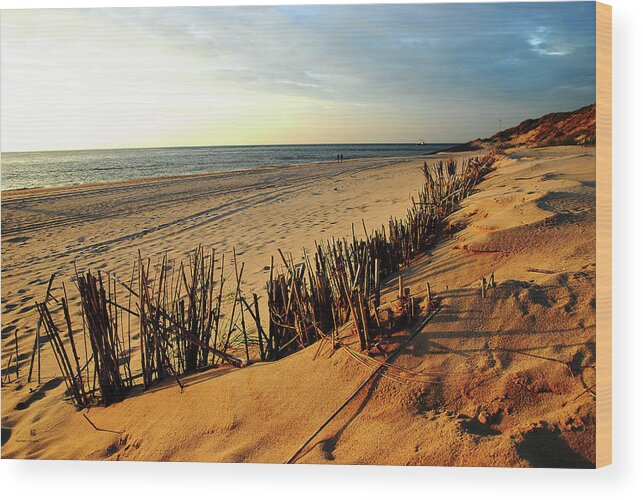 Beach Wood Print featuring the photograph So Calm by Hannes Cmarits