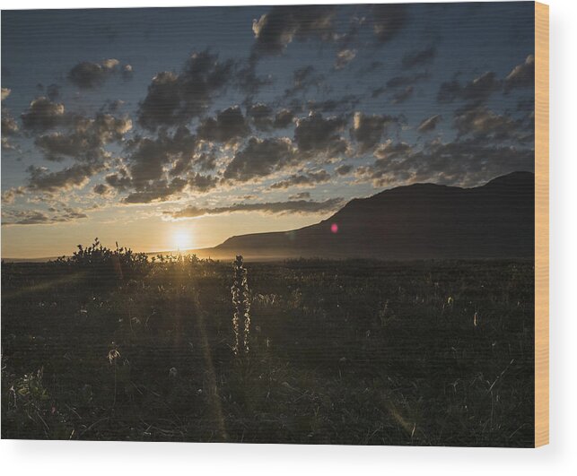 Alaska Wood Print featuring the photograph Solstice on the Slope by Ian Johnson