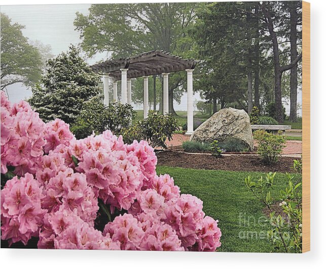 Brewster Gardens Wood Print featuring the photograph Spring at Brewster Gardens by Janice Drew