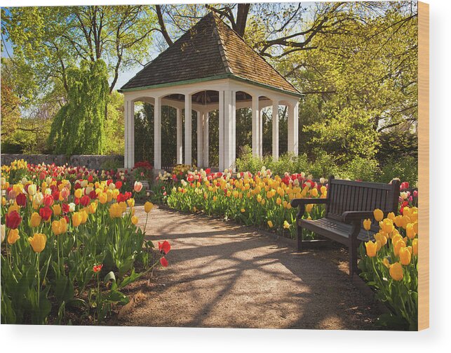 Mark Mille Wood Print featuring the photograph Spring Gazebo by Mark Mille
