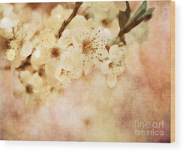 Nature Wood Print featuring the photograph Spring Glory 2 by Debbie Portwood