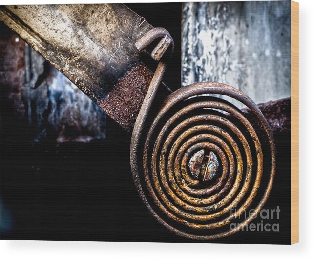 Rust Wood Print featuring the photograph Spring Roll by James Aiken