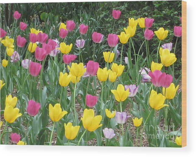 Photography Wood Print featuring the photograph Springtime Color by Kathie Chicoine