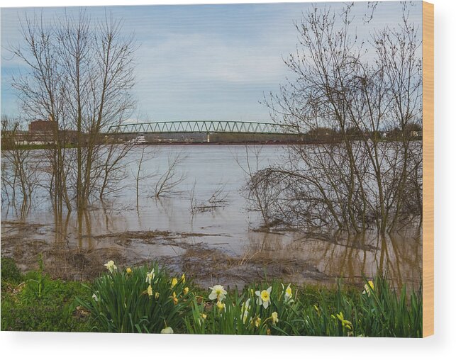 Marietta Wood Print featuring the photograph Springtime Flooding by Holden The Moment