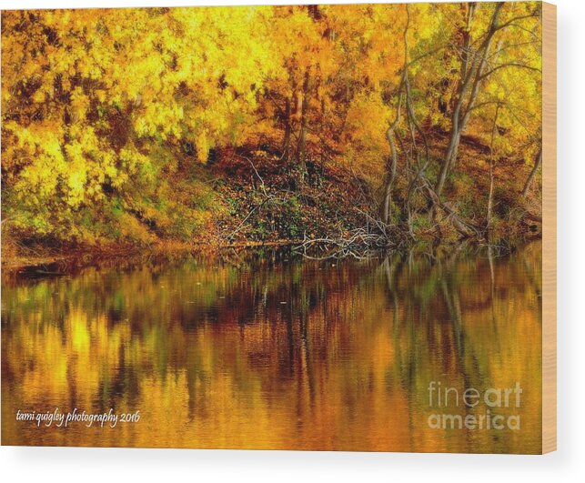 Autumn Wood Print featuring the photograph Still Gold by Tami Quigley