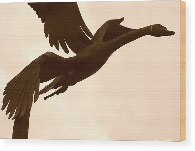 Sepia Wood Print featuring the photograph Stone Birds by Rob Hans