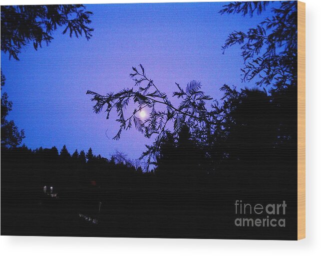 Blue Wood Print featuring the photograph Summer full moon by Garnett Jaeger