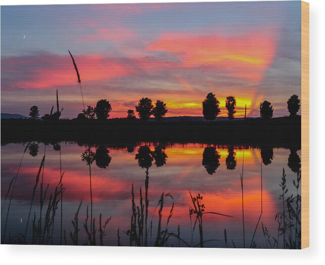 Landscape Wood Print featuring the photograph Summer Sunset with Moon by Tim Kirchoff