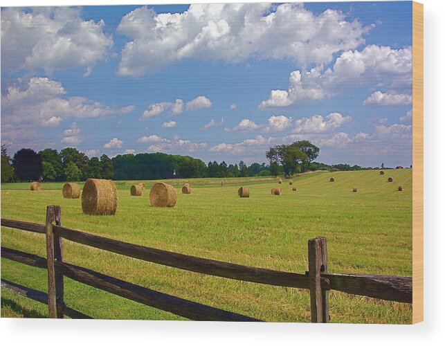 Landscape Wood Print featuring the photograph Sun Shone Hay Made by Byron Varvarigos