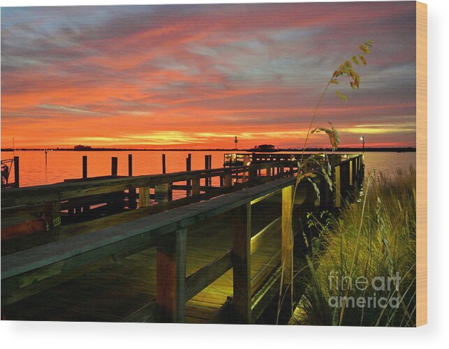 Tampa Wood Print featuring the photograph Sundown by Elfriede Fulda