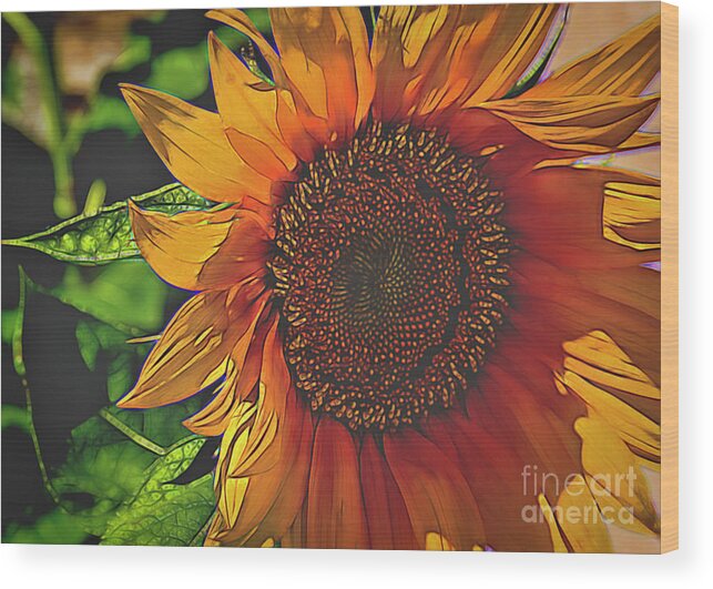 Nature Wood Print featuring the painting Sunflower Shadows by Janice Pariza