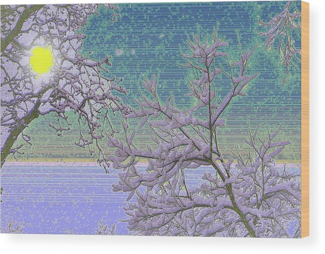 Sun Wood Print featuring the photograph Sunkissed Snowy Morning by Diane Lindon Coy