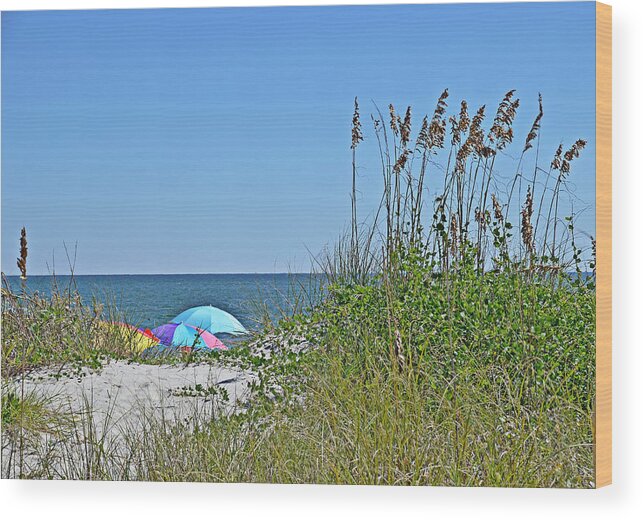 Sea Oats Wood Print featuring the photograph Sunny Day Umbrellas by Linda Brown