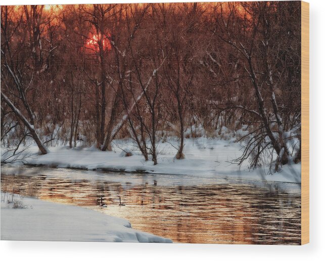 River Yahara Wisconsin Wi Geese Sunset Snow Winter Horizontal Landscape Scenic Water Frozen Golden Serene Beauty Rural Goose Wood Print featuring the photograph Sunset Just Around the Bend by Peter Herman