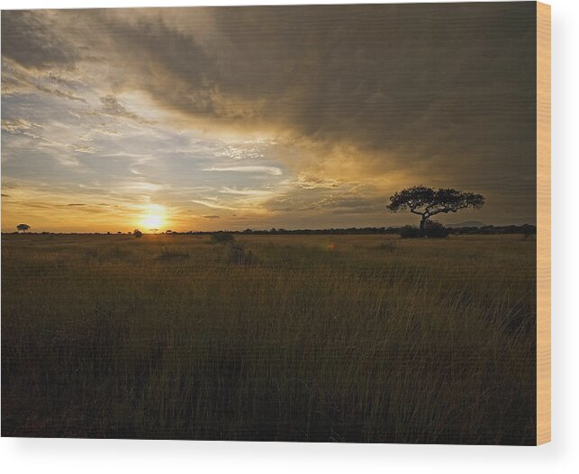 Places Wood Print featuring the photograph sunset over the Serengeti plains by Patrick Kain