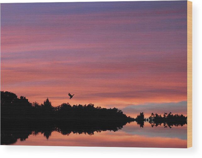 Sunset Wood Print featuring the photograph Twilight Reflection by Jessica Jenney
