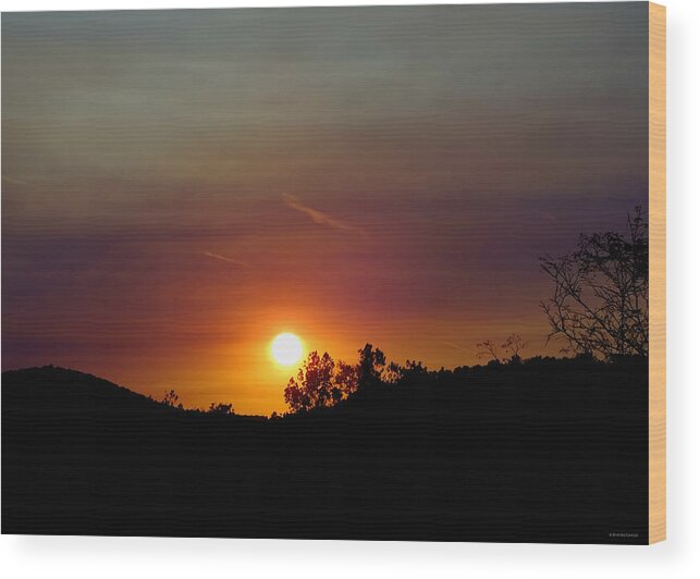 Sunset Silhouette 2 Wood Print featuring the photograph Sunset Silhouette 2 by Dark Whimsy