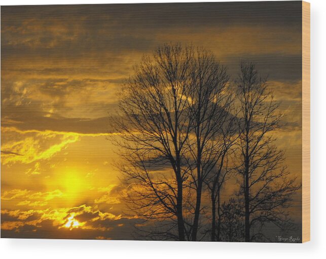 Sunset Wood Print featuring the photograph Sunset with Backlit Trees by Ginger Repke