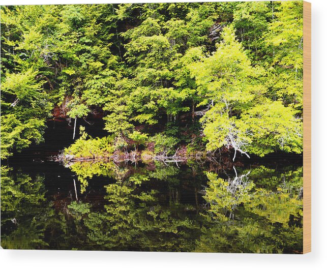  Water Reflection Wood Print featuring the photograph Surreal Springs Reflection by Stacie Siemsen