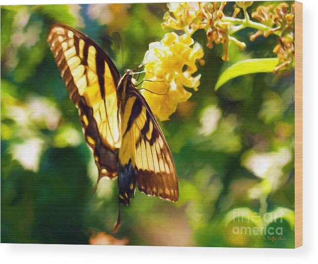 Butterfly Painting Wood Print featuring the painting Swallowtail by Patricia Griffin Brett