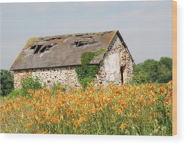 Old Barn Wood Print featuring the photograph Swede Run Barn by Jan Daniels