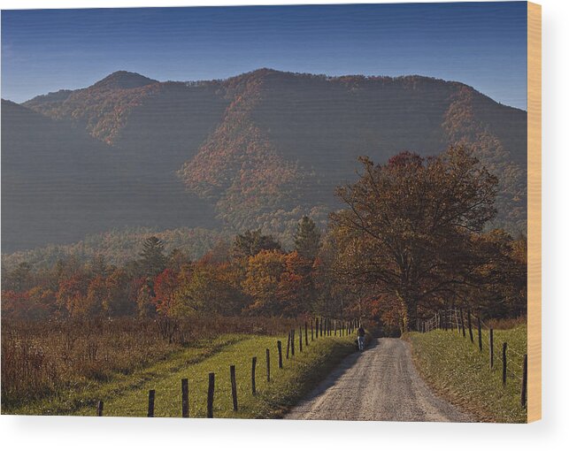 Smoky Wood Print featuring the painting Taking A Walk Down Sparks Lane by Jonas Wingfield