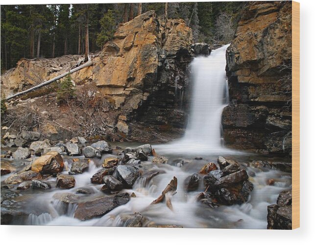 Tangle Falls Wood Print featuring the photograph Tangle Falls Closeup 3 by Larry Ricker