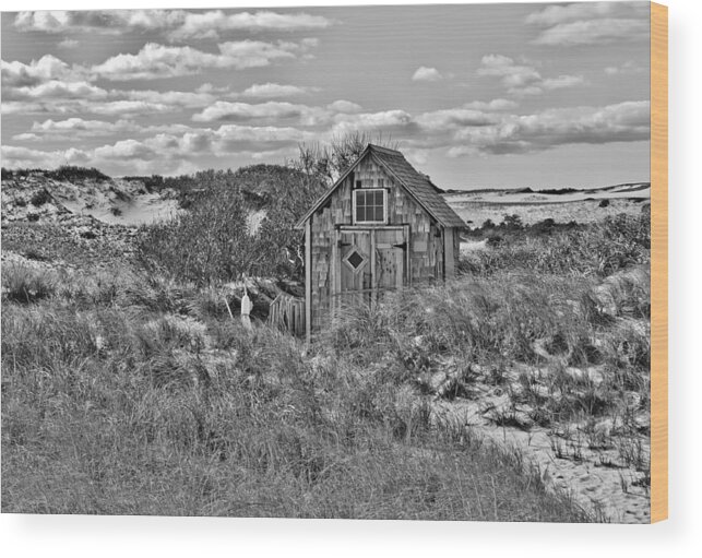 Cape Cod Wood Print featuring the photograph Tasha Dune Shack in Black and White by Marisa Geraghty Photography